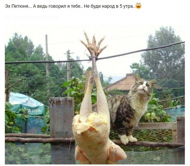 Просыпайся!