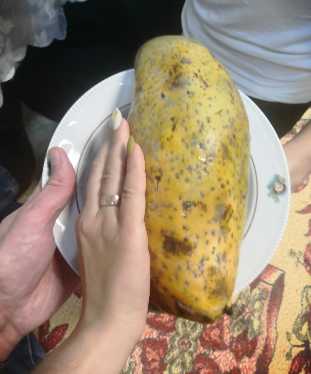 Манго сорта Махачанок