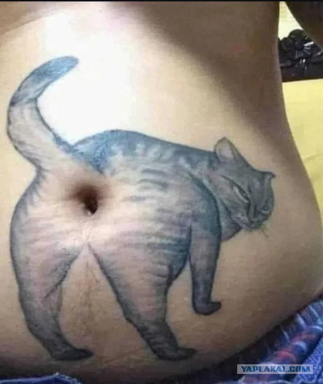 Тату для кошатника
