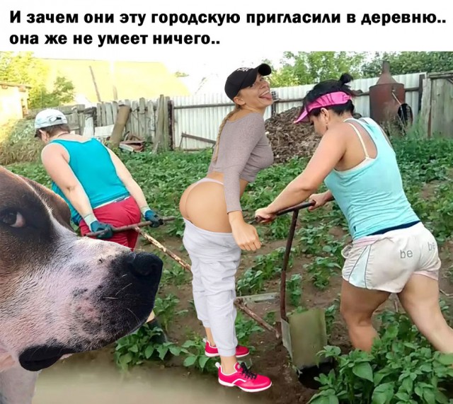 Фотожаба. На заправке.