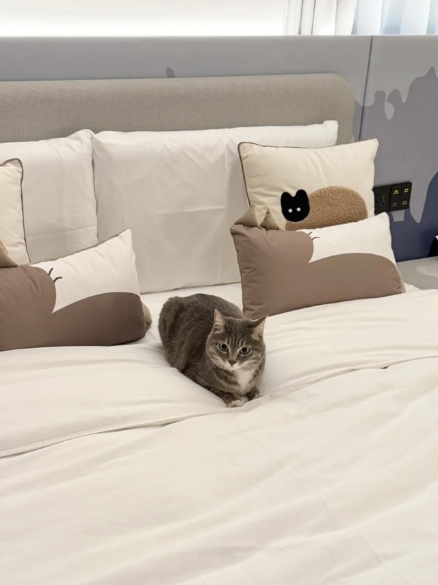 Котейке уютно сидится