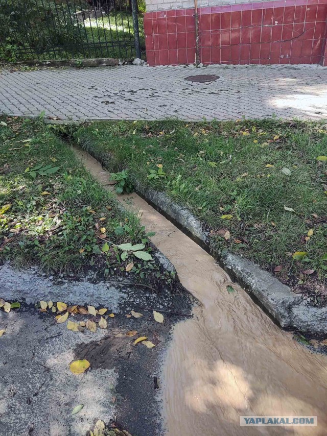 «Стройка века» в центре Хабаровска гробит дом века, а власти советуют «продолжать наблюдать». Фильм «Дурак» 2025года. Нужна помо