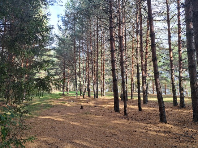 Мини отпуск на четыре дня, продышаться.