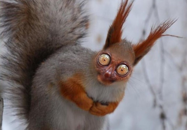 Где тот крендель который вёл счёт времени без алкоголя?