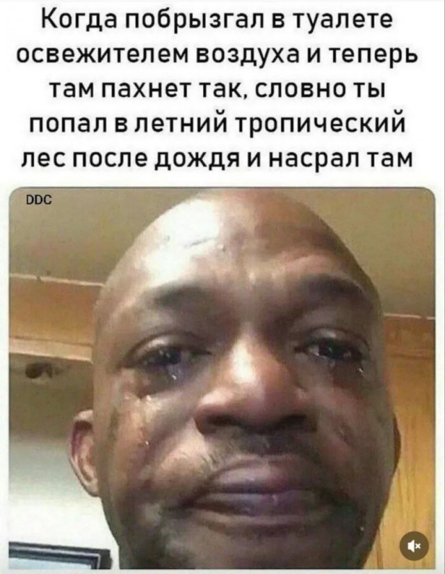 Чёрно-пошлая деградация