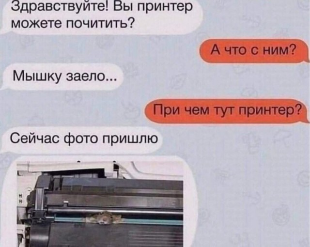 Субботние картинки