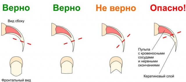 Странно, моя бы когтями меня всё равно исполосовала бы