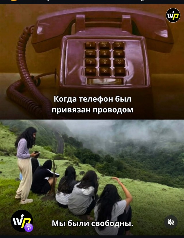 Так себе картинки 08.02.26