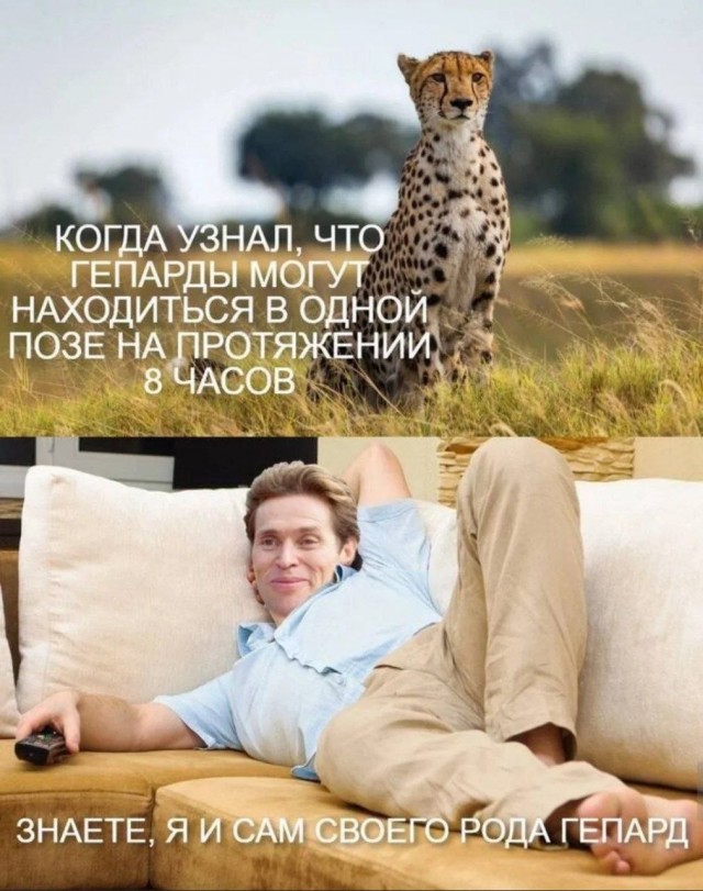 Картинки для деградации 178 (разной степени свежести)