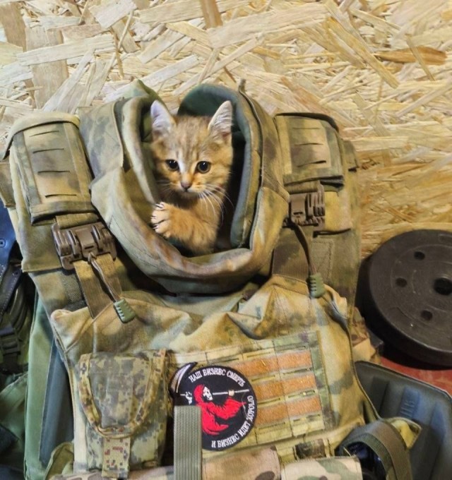 Wargaming 63