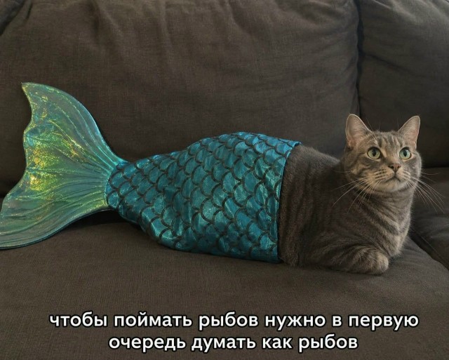 Так себе картинки 22.08.26