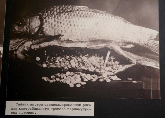 Ночь в пограничном музее: