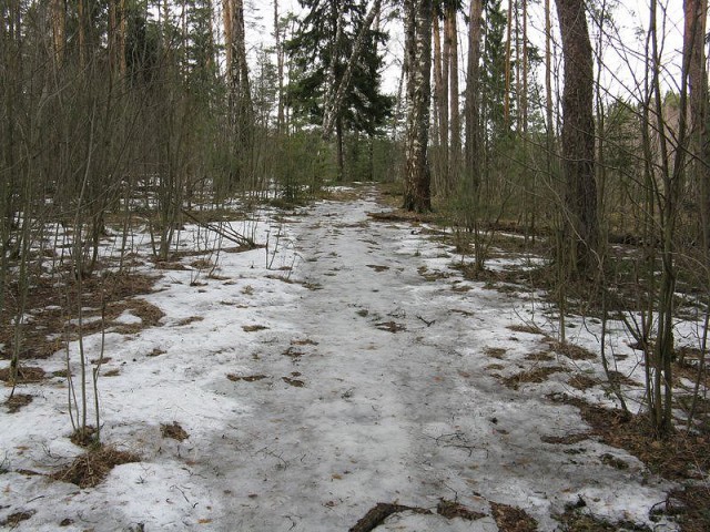 Деревенская Америка