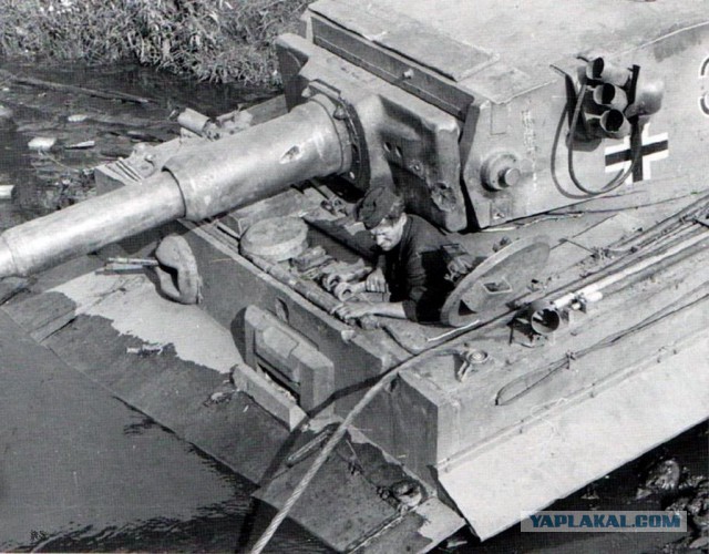 Wargaming 10