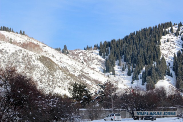 Деревенская Америка
