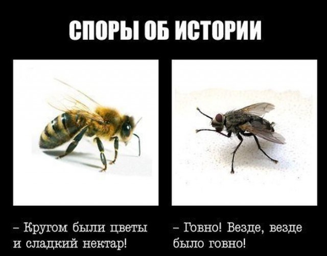 Мифы, говорите ?