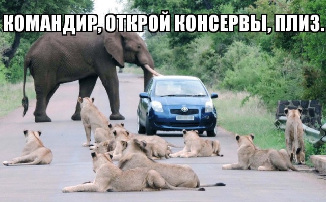Так..картинки на понедельничек))