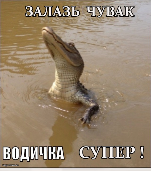 Кто идет купаться?