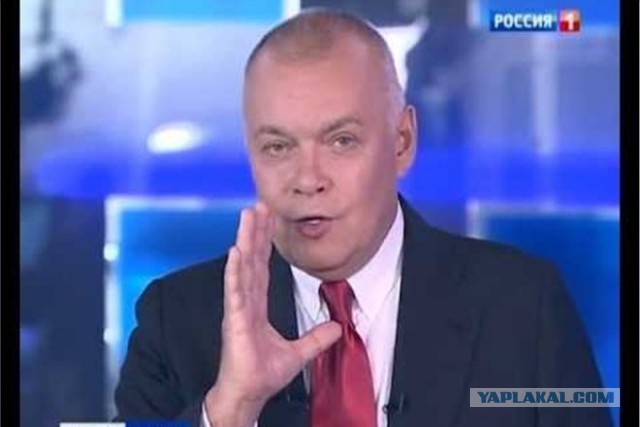 Политотка 4