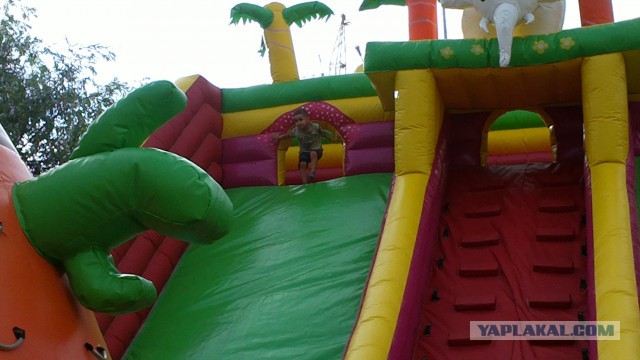 С папами жить веселее