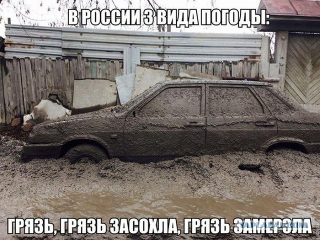 Авто приколы!