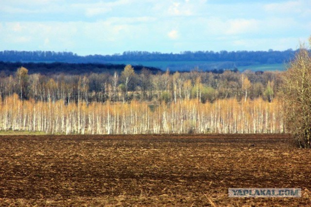 Сельскохозяйственный эксперимент ч. 7