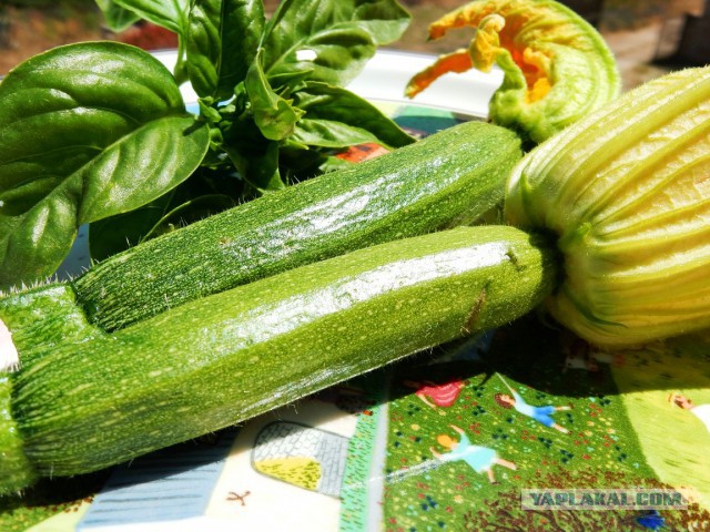 Готовят наши дети и мы готовим для детей.