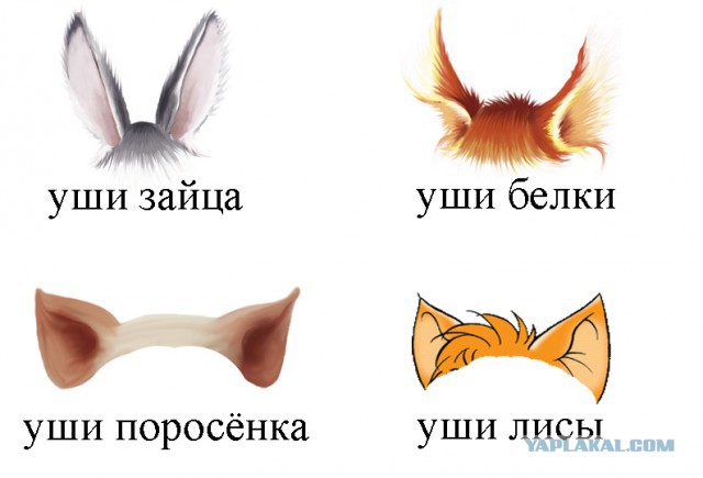 Секс