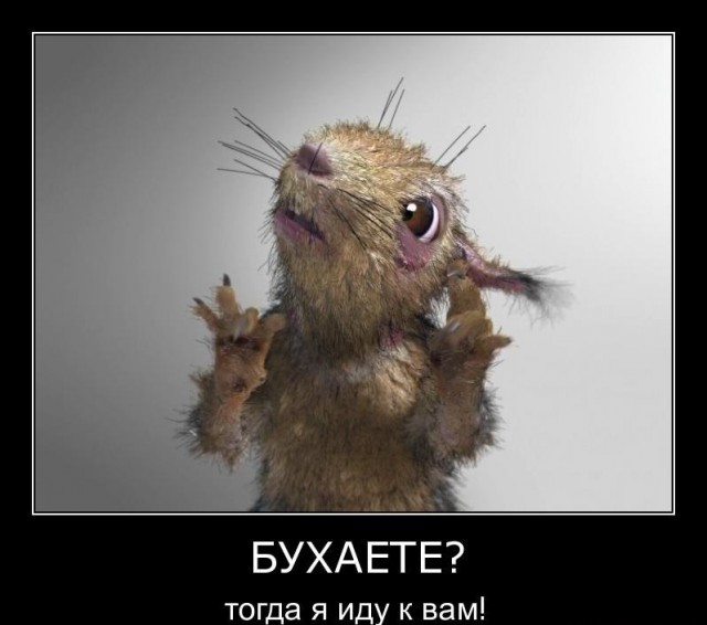 Новый  год... уходи! !