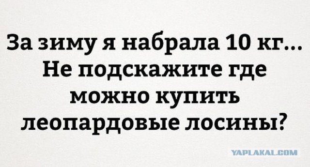 Все друг друга поняли (Смехопанорама)