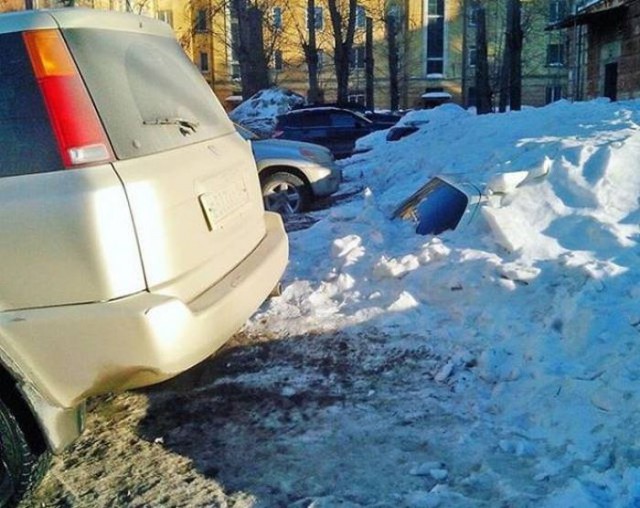 Подборка безудержного веселья