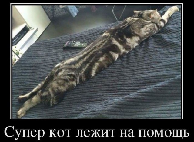 Картинки в черных рамках с подписями