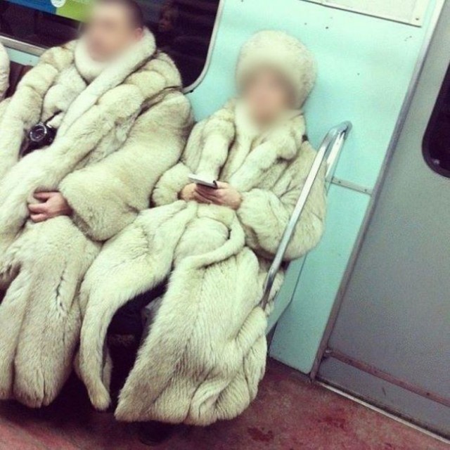 Подборка безудержного веселья