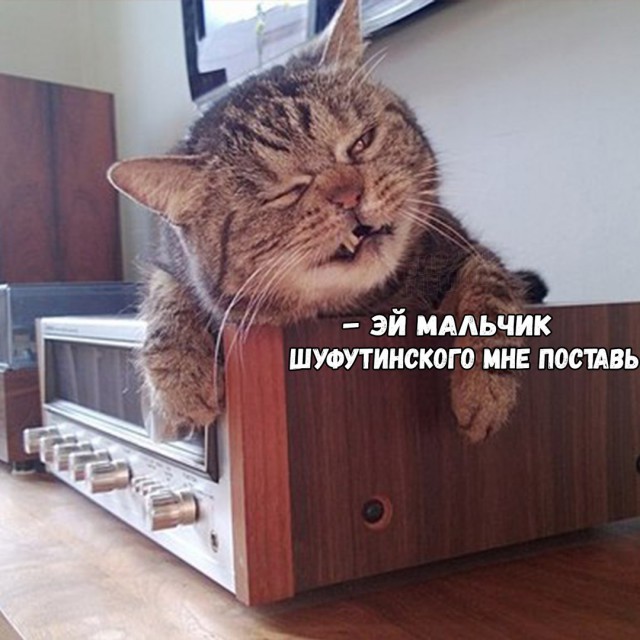 Немного деграданса - 5