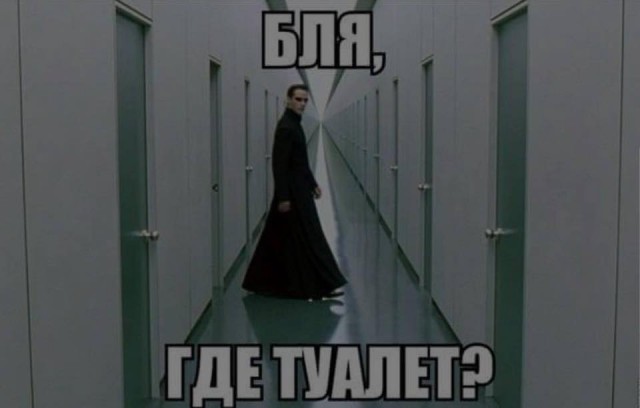 Нас всех преследует понедельничная деградация и откровенный тупёж!