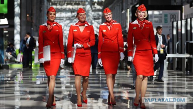 Красотки-стюардессы возмутили пассажирку
