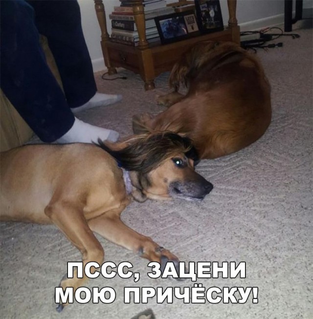 Нестандартный юмор