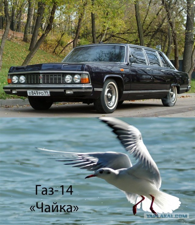 Клички у автомобилей