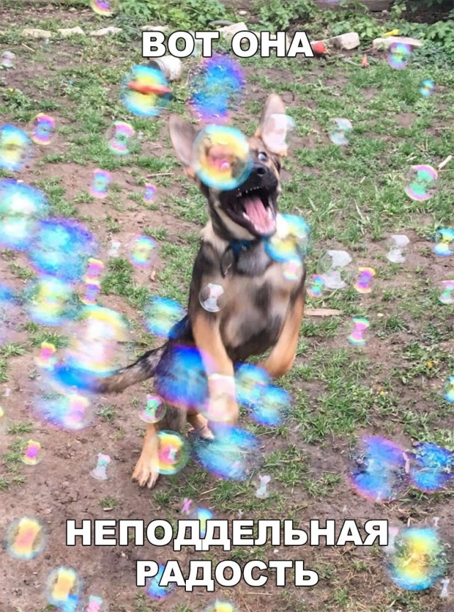 Нестандартный юмор