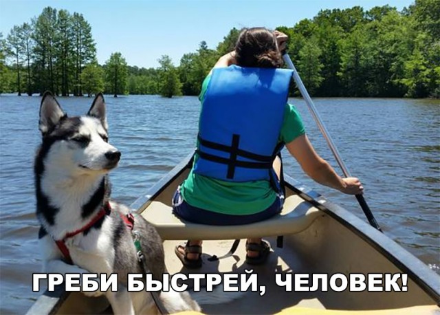 Немного картинок на среду