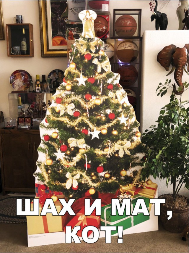 Нестандартный юмор
