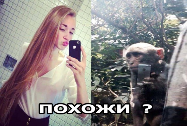 Оп-пааа... Чернуху подвезли, налетай!