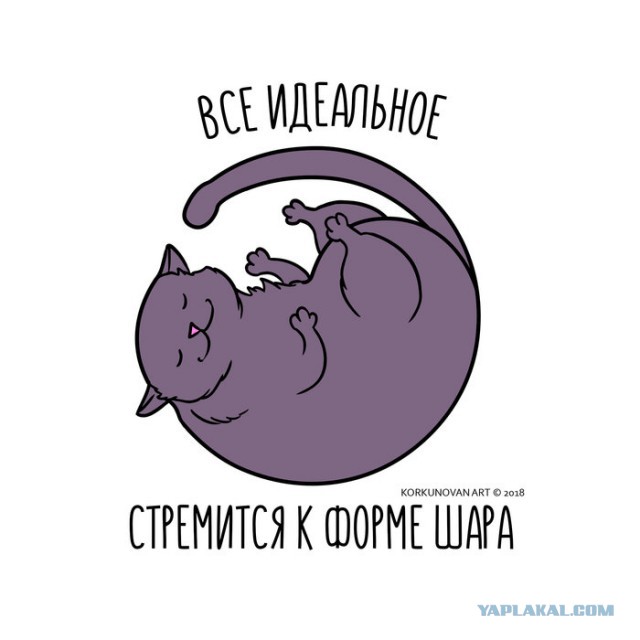 Какой тип фигуры предпочитают женщины... опрос
