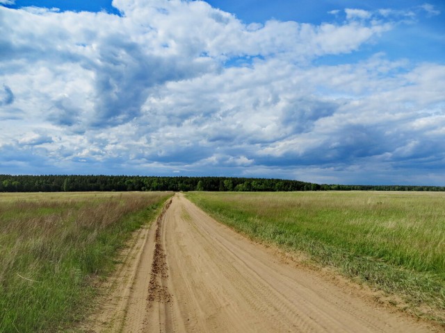 Красота сельских дорог