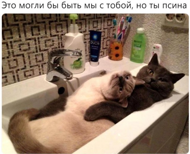 Немного картинок для настроения
