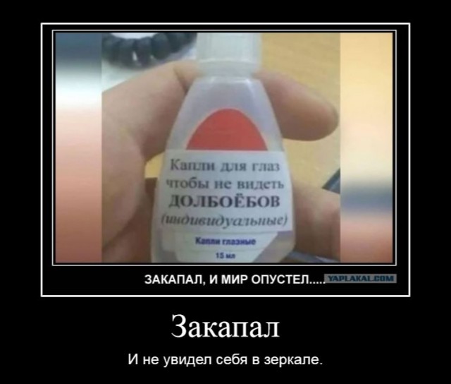 Немного странного юмора в картинках