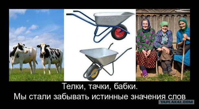 Бабки расскажут