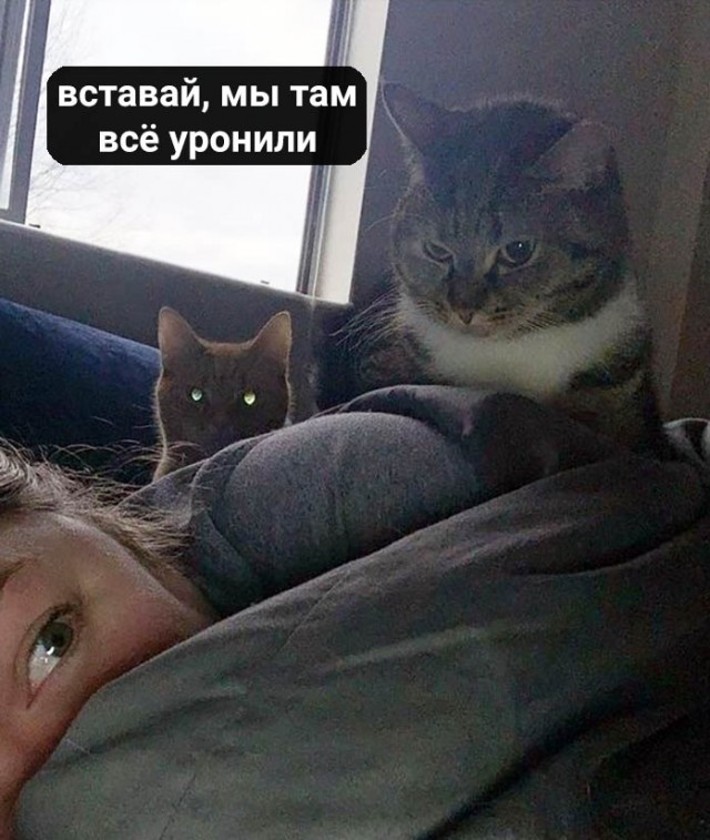 Каждое. "Доброе". Утро