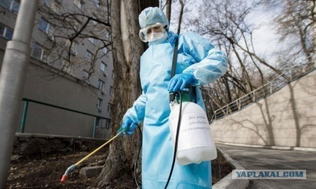 Когда больше нет никаких сил находиться в условиях строгой изоляции