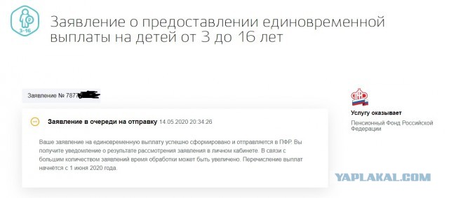 Почему государство не может оказать помощь хотя бы детям без дополнительных условий?